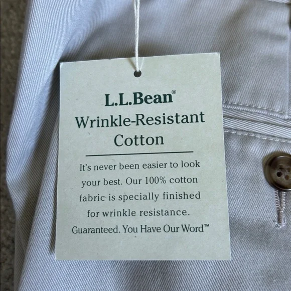 🔥🆕🔥L.L. Bean Men's Wrinkle-Free Chinos, Natural Fit, Hidden Pleated - Picture 3 of 9